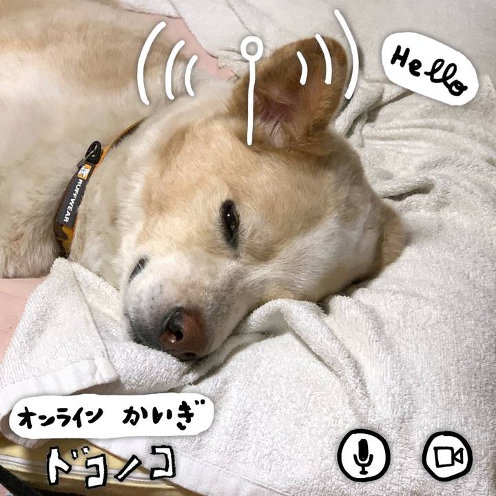 93472033 36fb 46a2 aef7 7015ab1f10c8 1590673946131