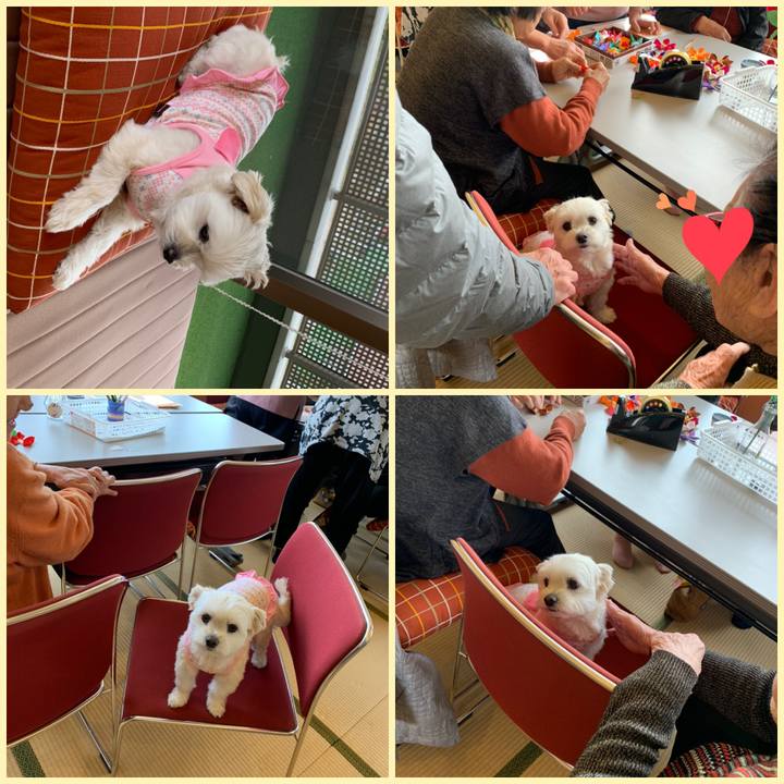 93472a5b 472c 4001 8449 0bd99e05fd96 1581304245089