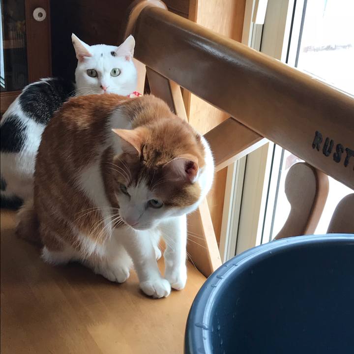 9347375c 2eb6 4e77 9c78 adc71eb9701d 1546139002592