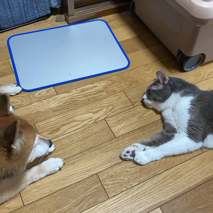 9347411a cd3f 4090 8373 e744e6d3340e 1724721721322