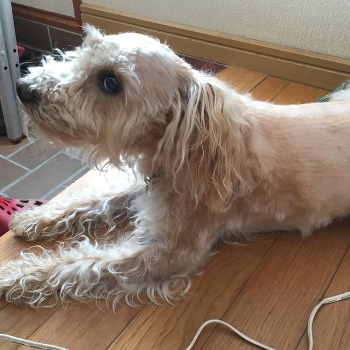 934749da a233 4f34 bf0b 56b5b1aff7f6 1556430273492