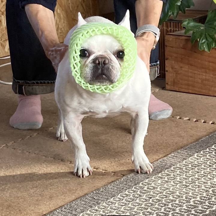 93474a8d ad34 4ac9 8321 c583fa39cf53 1727947418386