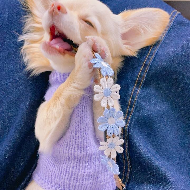 93479ebf 4c3d 453b 8bdc 48103b1d45ca 1613562384577