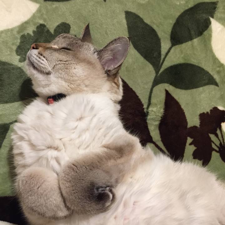 9347bd57 93ce 499b 84ec fcf38fa1d1d6 1578957067402