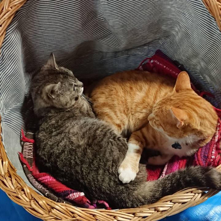 9347db7d 26b5 4d4e a0ed a28b0cc880a4 1563172228898