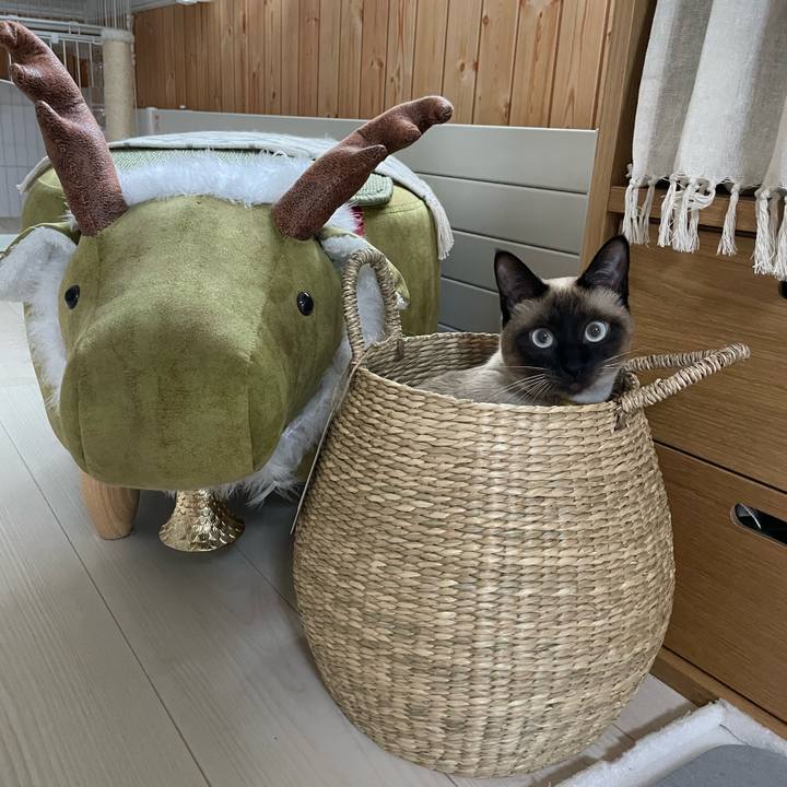 9347fa13 7986 4ae6 9cd3 a6b70f331a37 1720640933238