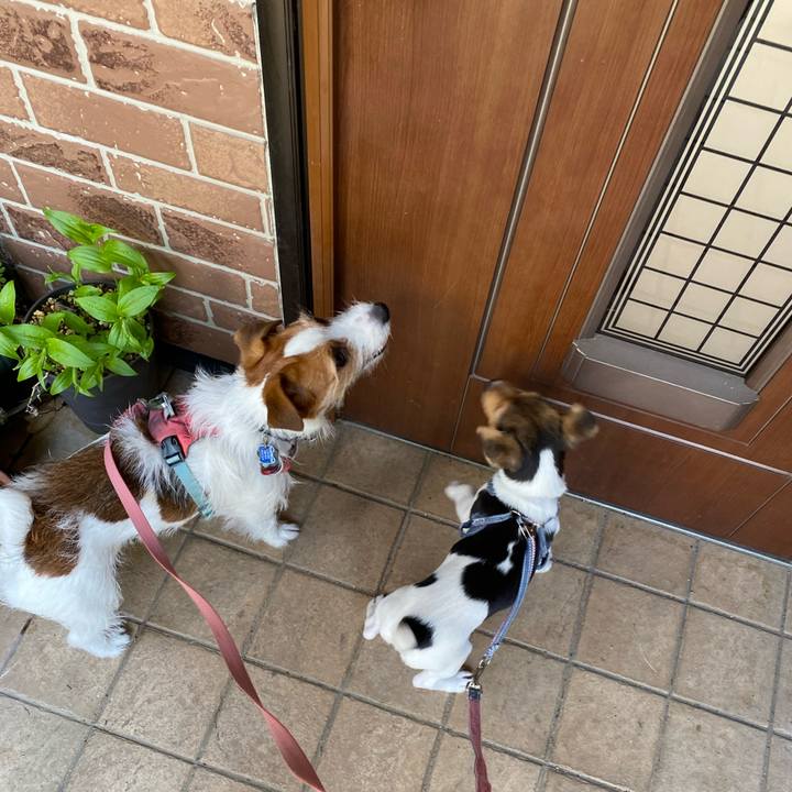 93480253 f4ac 4718 aa71 149e57d04613 1744585529415