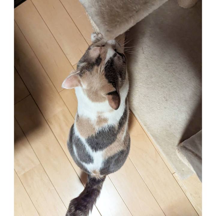 93480b55 420e 442c 9b46 7a1569fdeb2a 1696824138206