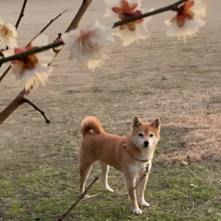 93481f9d b893 4582 8406 a7df0765835f 1580462198850