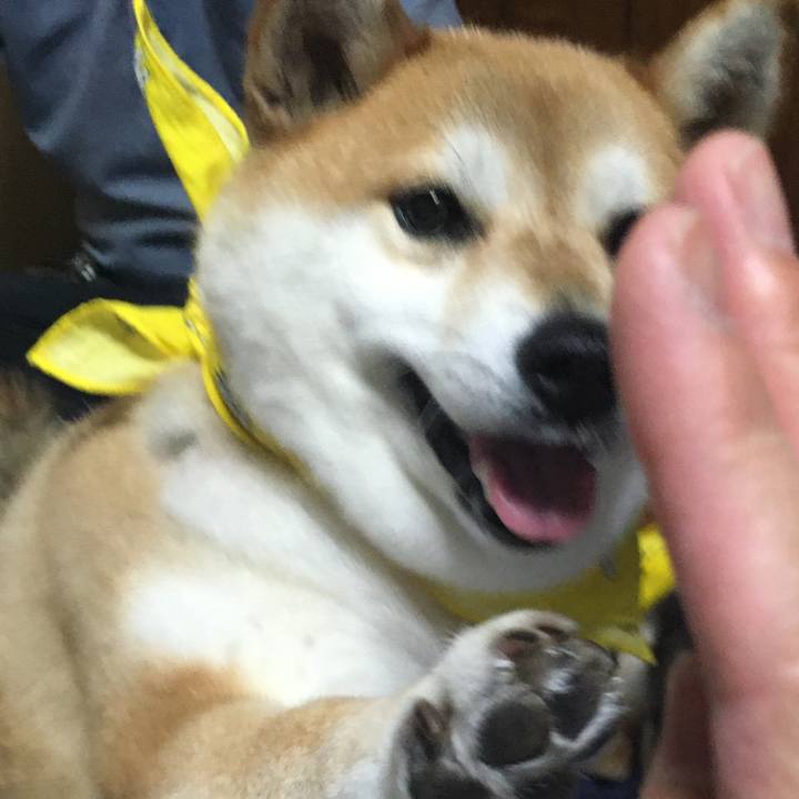 9348817b 138c 41ae 90f5 16e69de4cd50 1591449413355