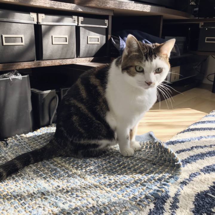 9348bb26 14cb 4d07 b0a3 bb5e8f608f8c 1542177893433