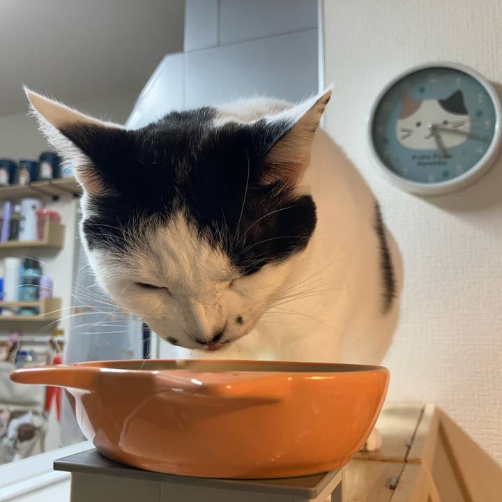 9348d1ad b7d2 408c b93a 86ad63aea8bb 1760300938432