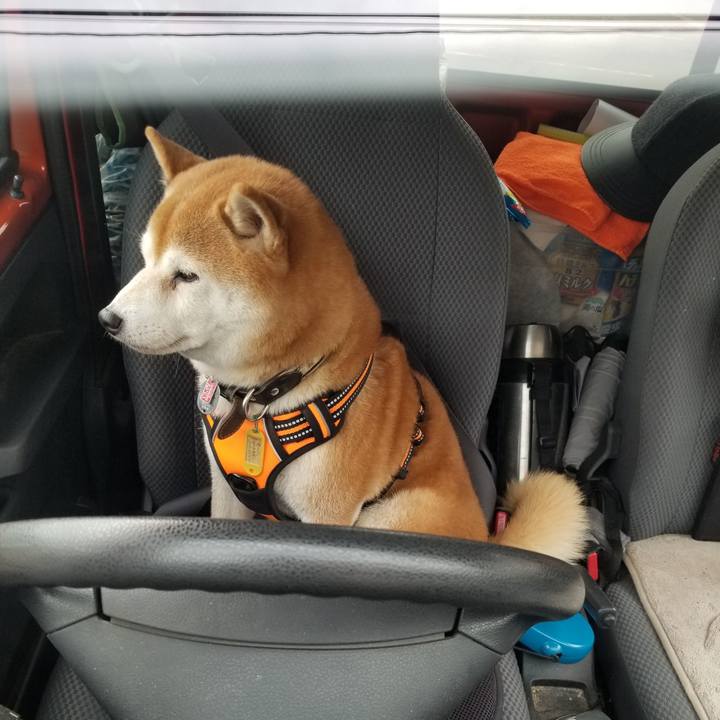 9348d573 62c1 46ba bb7b 35c811db49d7 1603349462623