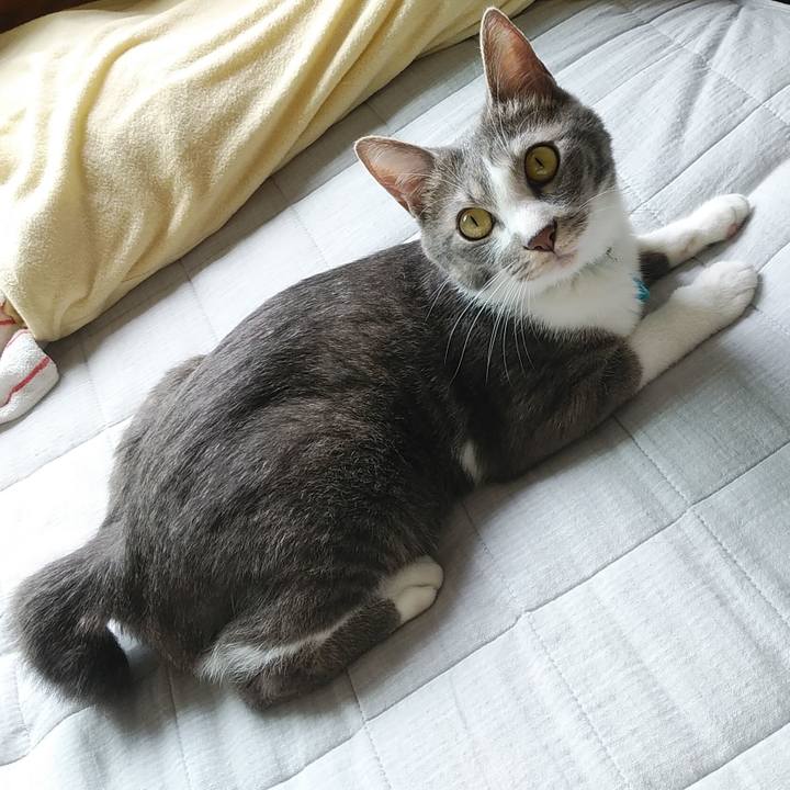 934928bb 8f1e 4d7c 855f 7c851f56a2c4 1591056795036