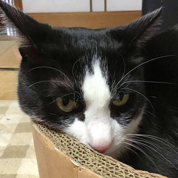 934947e5 56ec 4fca b8d7 23dd0d2b4761 1740820922454