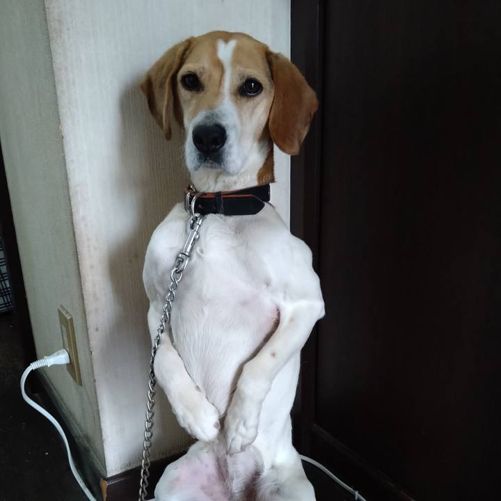 93495310 5fde 4205 89d1 c64f778eb208 1649247345767