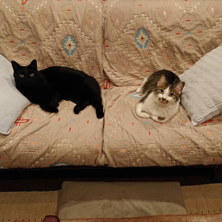 934971b3 dd5d 44a0 b64c df67cb88f5b3 1619265868036