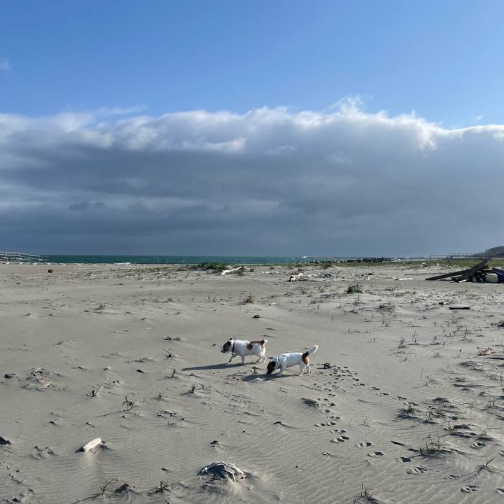 93499618 4468 406e aeca d5621ba0bc9c 1713570134928