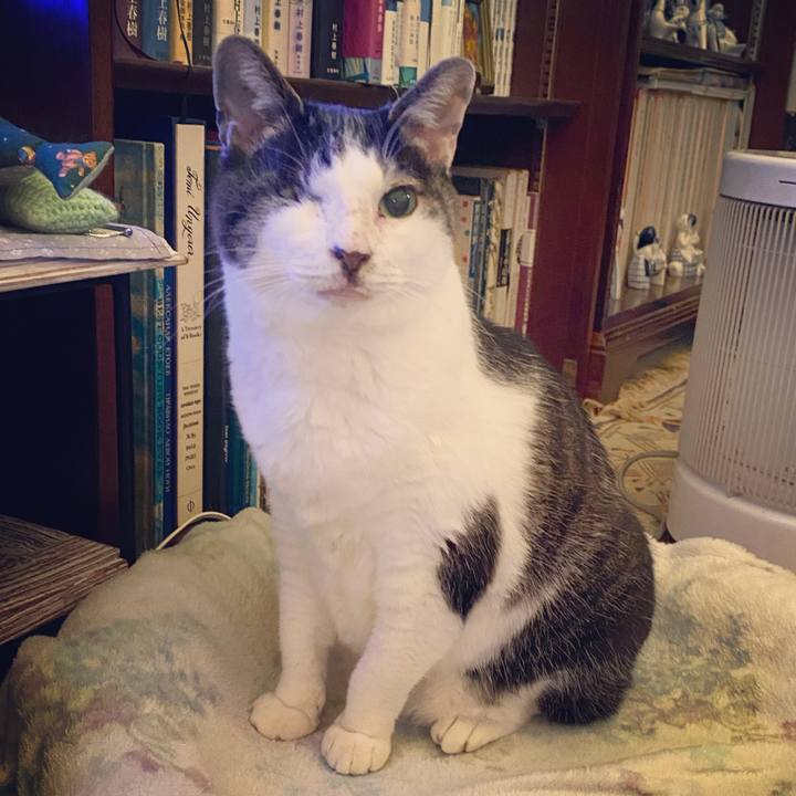 9349d1c7 03e0 490a 8959 165f424c67ad 1582970669275