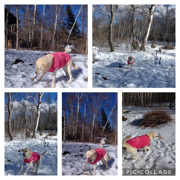 9349f830 6d4e 41fe b91b 8189e8caa6b2 1673239925767