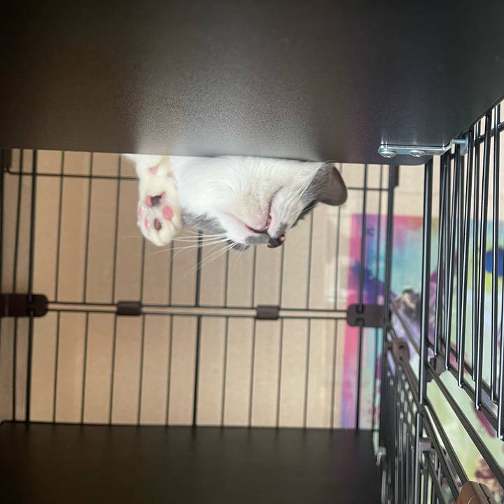 9349fb84 c100 468b a65d ec6cbf942666 1676345446098