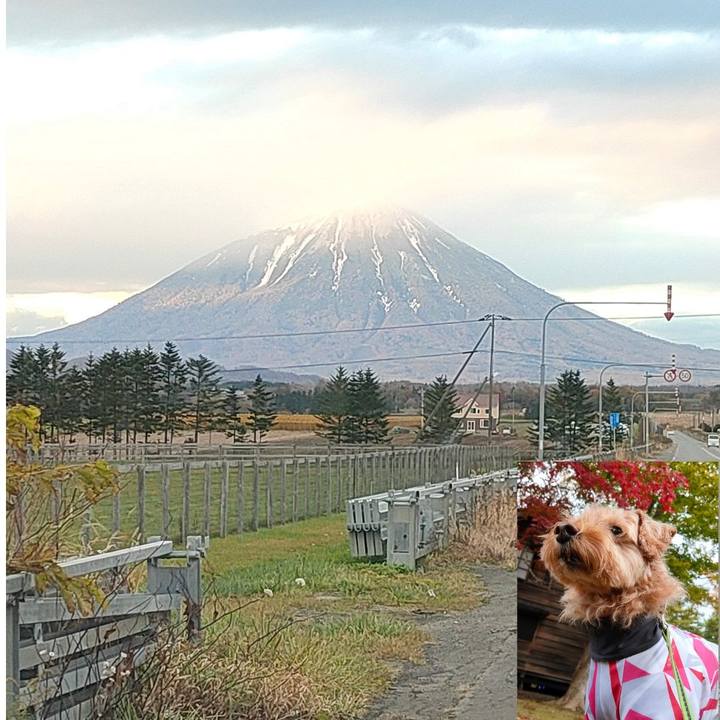 934a1eaf 330e 4399 a337 8154915d010f 1603926038232