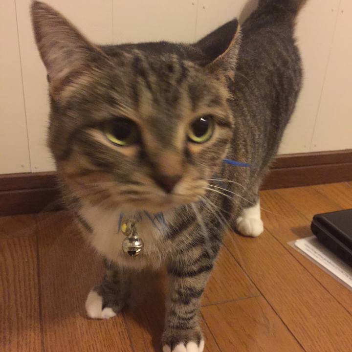 934a594e 92c7 47f4 8899 a053bfb7ffb5 1548773931014