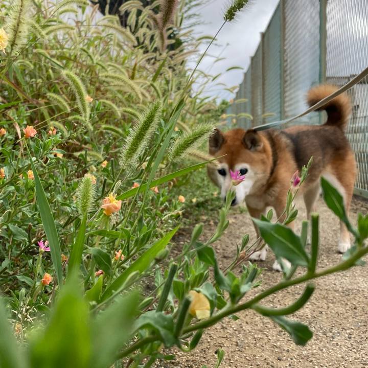 934a5c8e 1ade 45ea a6f9 0b3bca037f97 1752454099836