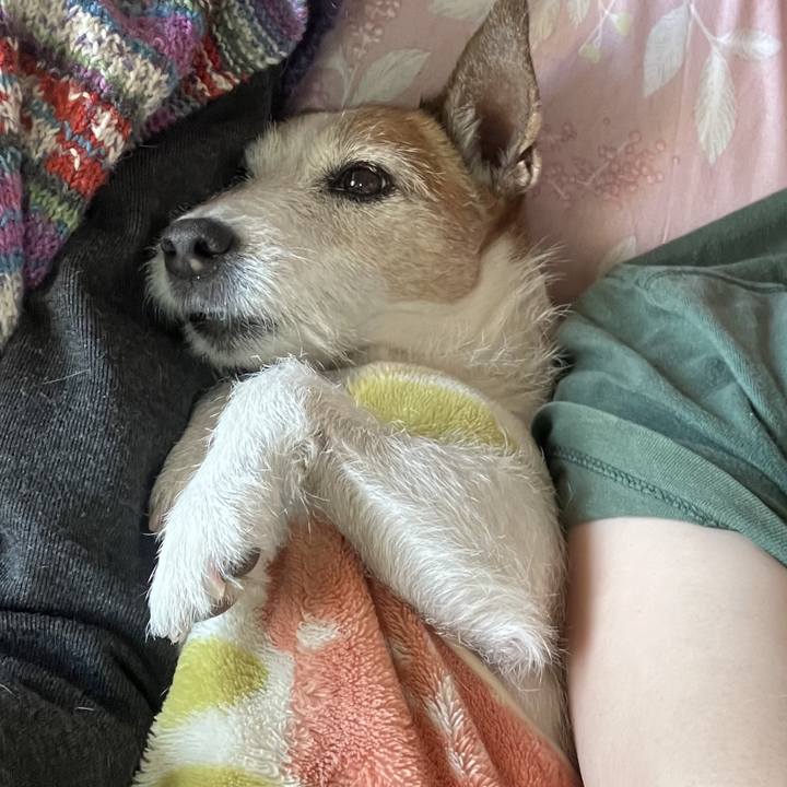 934a63a0 06f4 4663 b70c af90f33b5464 1741735732507