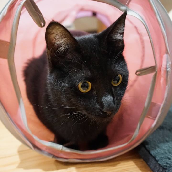 934a7069 784e 4957 a935 c226280bf911 1516752393680