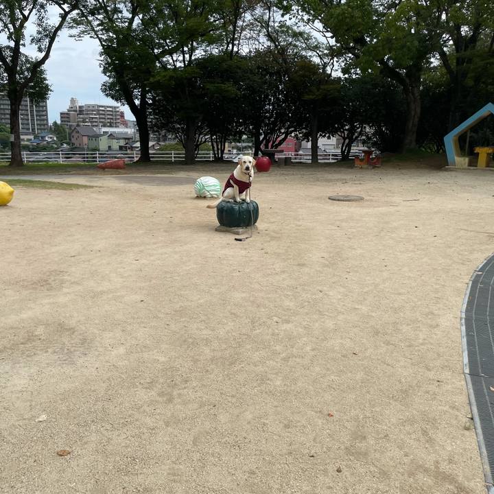 934ad446 7d38 4b9e 890e d5a51da40d37 1630988165270