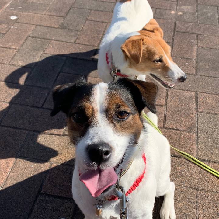 934ae54b 9ef2 4bcd bec1 3a46730a97e8 1605339477240