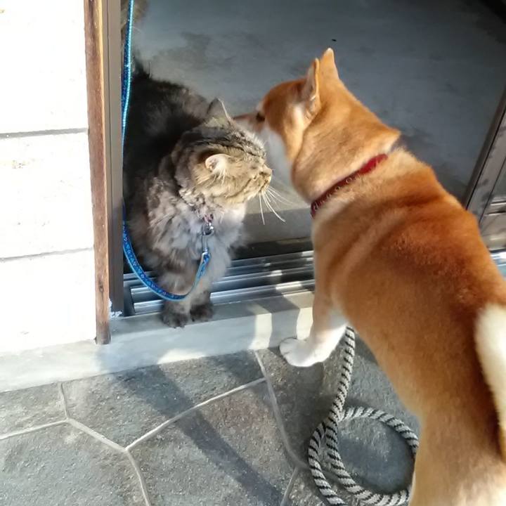 934b0793 bb3f 4684 9aee 72bb67a1a5c7 1613953673986