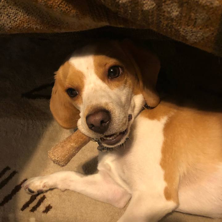 934b0c48 ebfb 459c b487 9df0b771e175 1562152902177