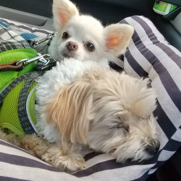 934b2734 0ca7 49e8 95d1 693e84cef50a 1578140735475