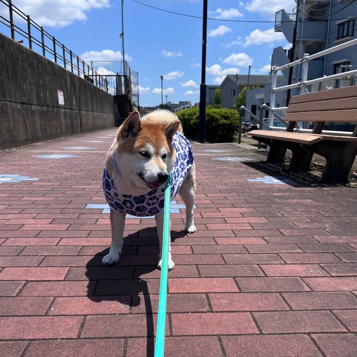 934b6158 afa5 4aa7 acf9 d84942574599 1717555000951