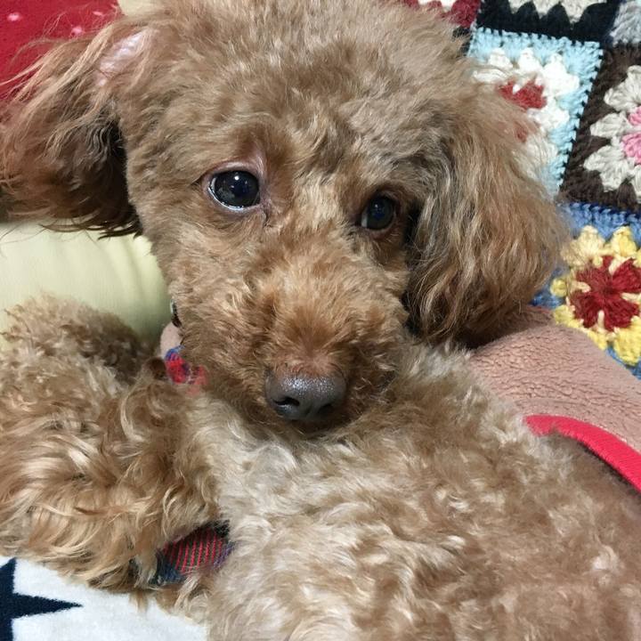 934b6a04 ddc0 431f 9924 a450e921cd9d 1519525333636