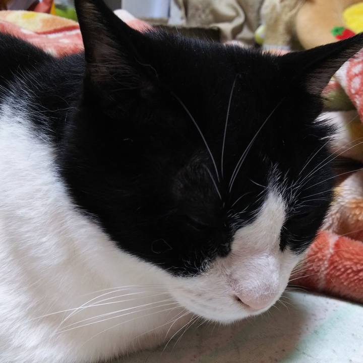 934b8bc4 7386 4908 afaf 4cbad4ddb1c2 1557956841453