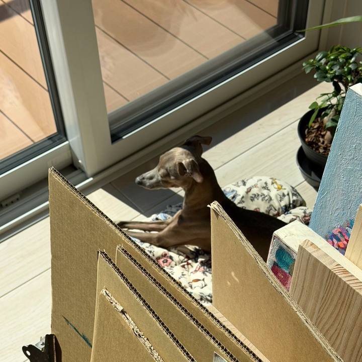 934baead 1c3f 4192 b85a 21fe47eda5a1 1770003772976