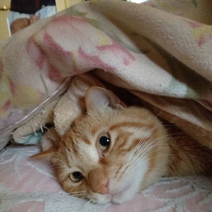 934c0ec9 1d48 48f1 a0fb 055e93a404bb 1681423535296