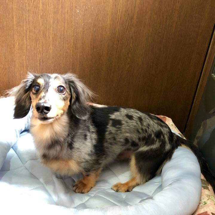 934c2e42 81fb 4289 a321 93ac109e0a5c 1562464277261