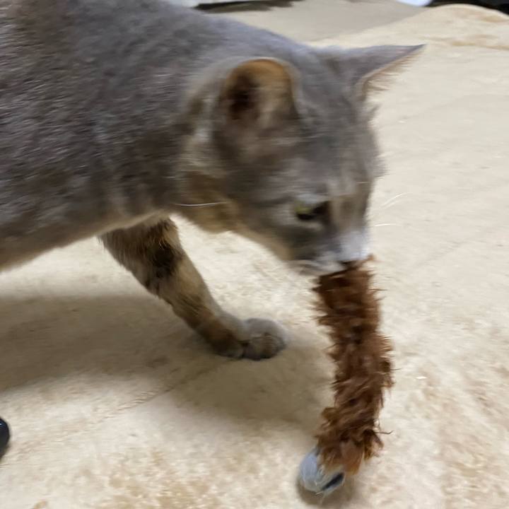 934c3c34 5820 4832 ba4d c2a3b8344bf6 1590675936384