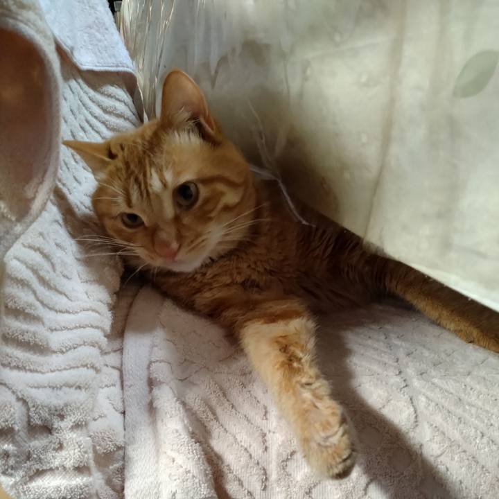 934c6763 0881 469c b2c9 4cb5cedc7f1a 1671057173102