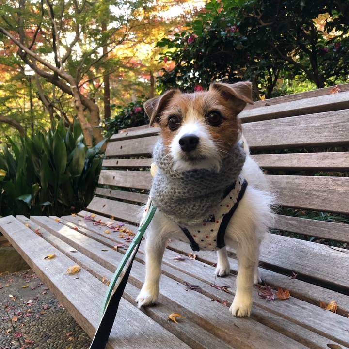 934c67b2 3087 4a7d b3e2 d0b01ba30816 1639225693615