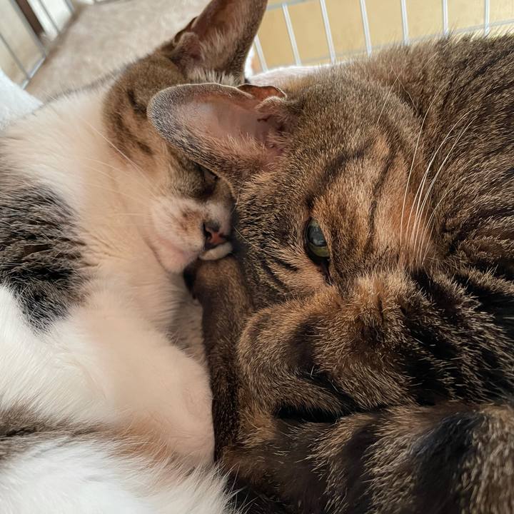 934cac62 89b8 4020 a528 e5d63bfdd633 1625533038141