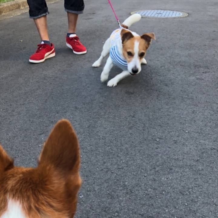 934cbb56 995f 4158 800c de892cf20da3 1540179818660