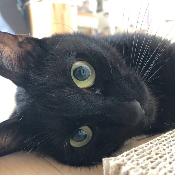 934cd6e2 11aa 41f9 b1ce 473425c3c06f 1596893041536