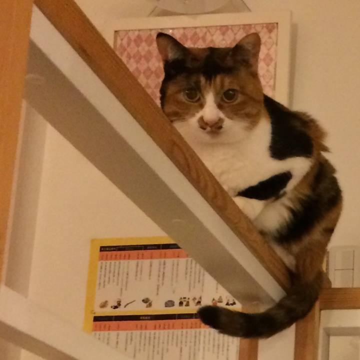 934cdc38 ab21 42fb 89bb ef1c430d67c6 1512282858402