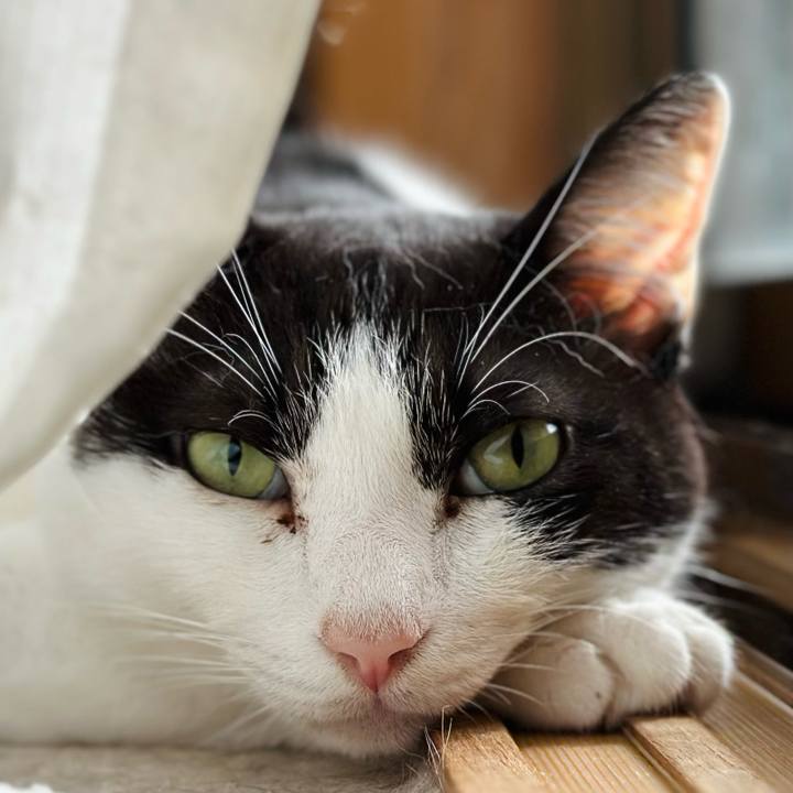 934ce39f fe77 44a7 88d0 ecbb69d7c610 1694828590116