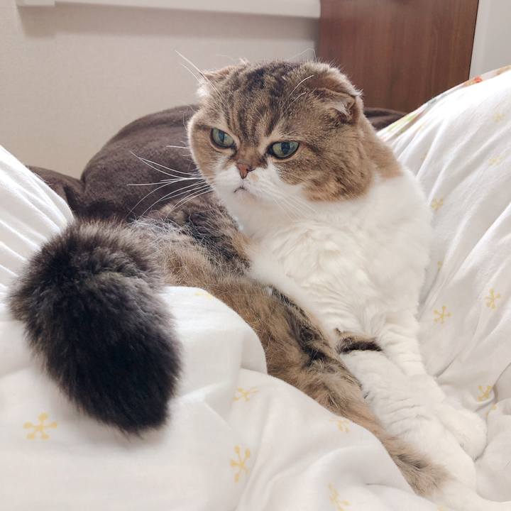 934cf19a 4ba4 4c8e 9f85 4e20f9e73144 1556686447408